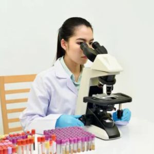 Guide Pratique pour les Travailleurs Qualifiés Internationaux : Comment Trouver un Emploi au Canada