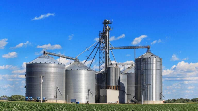 immigration visant le secteur agroalimentaire