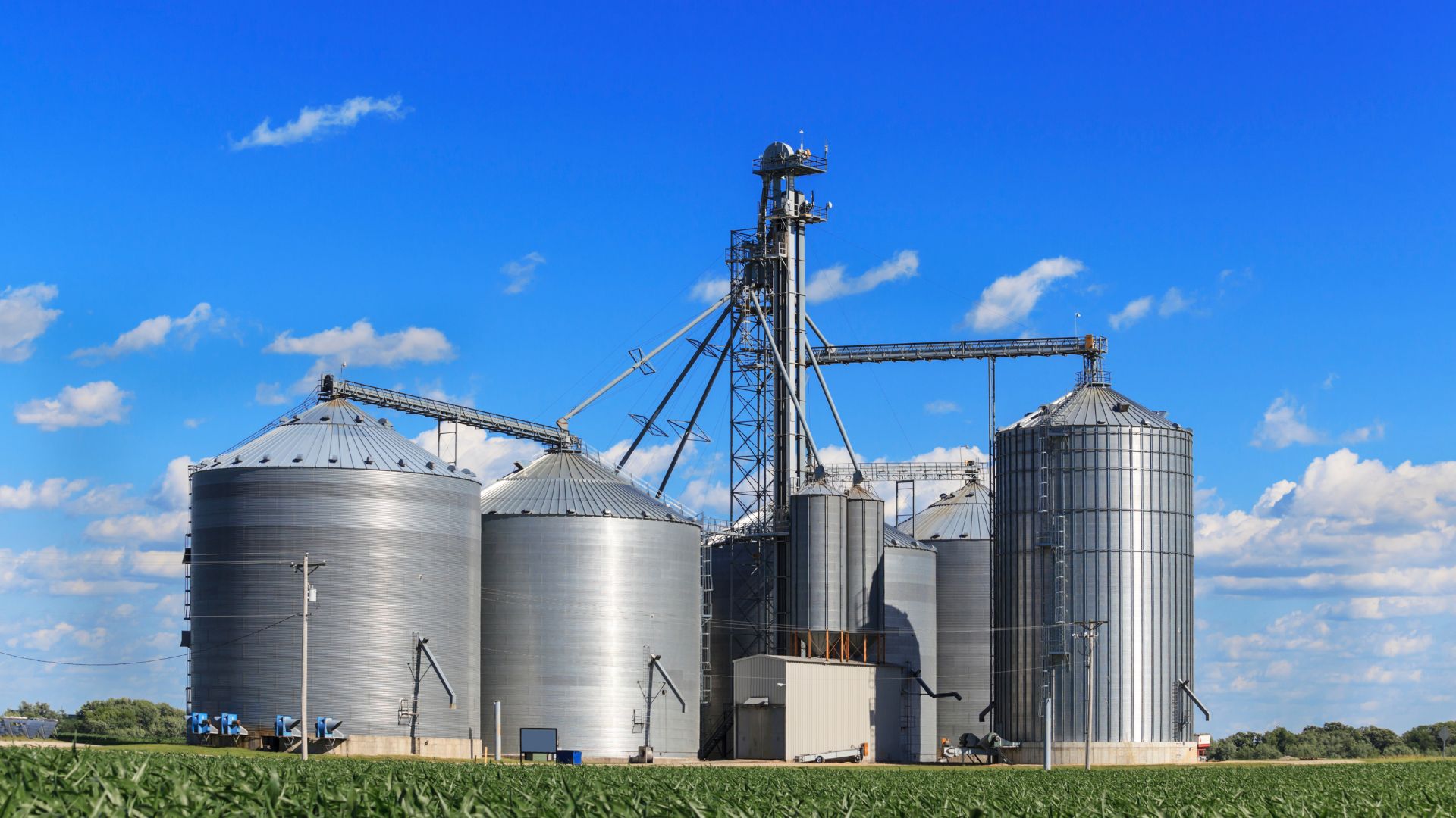 immigration targeting the agri-food sector